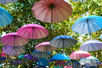 colorful or multicolored umbrella hanging on the tree in a sunny day.  tree or streen decoration, background abstract.