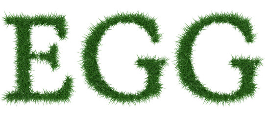 Egg - 3D rendering fresh Grass letters isolated on whhite background.