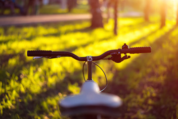 Hands in gloves holding handlebar of a bicycle. Mountain Bike cyclist riding single track. Healthy lifestyle active athlete doing sport
