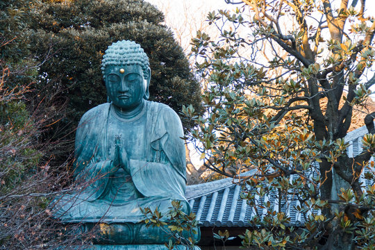 Bhudda