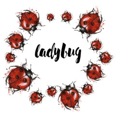 Watercolor drawing of an insect ladybird in a heluin theme with black skulls on the back with splashes on a white background, horror story, predominantly red and black, print, decor