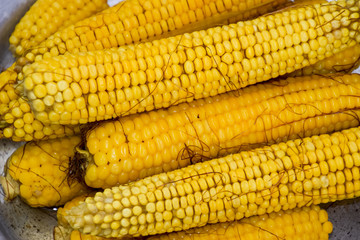 Boiled corn on an aluminum tray. Corn near. Closeup of corn. Yellow boiled young corn, useful and tasty food.