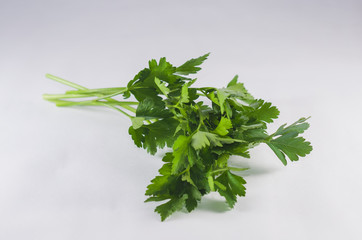 salsa em fundo branco