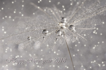 Happy New Year 2018. Dandelion with drops of silvery color.