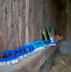 viele blaue buersten in reihe auf einem holzbalken im stall aufgestellt bei tageslicht fotografiert