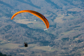 Paraglider