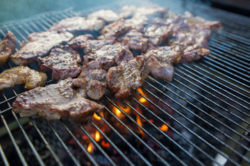 Hand of young man grilling some meat and vegetable-meat skewers on huge gas grill (Shallow DOF)
