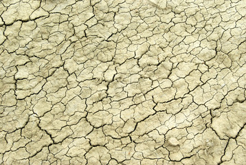 Dry cracked clay surface