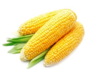An ear of corn isolated.