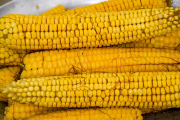 Boiled corn on an aluminum tray. Corn near. Closeup of corn. Yellow boiled young corn, useful and tasty food.
