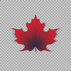 Maple leaf in a realistic style on transparent background, isolated object. Vector illustration
