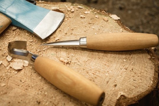 Close-up of worktool on stump