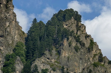 Mountain top of eagle's rock overgrown with coniferous forest and glade of Rila mountain, Bulgaria 