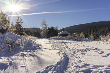Fototapeta na wymiar Winter Harz National Park, Germany