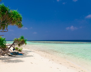 Fototapeta na wymiar Maldives, white sand, palms