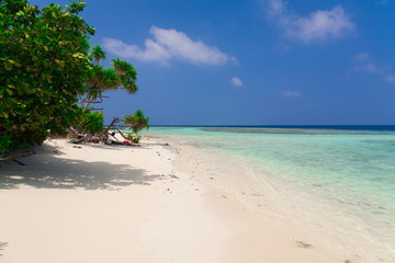 Maldives,  white sand, palms