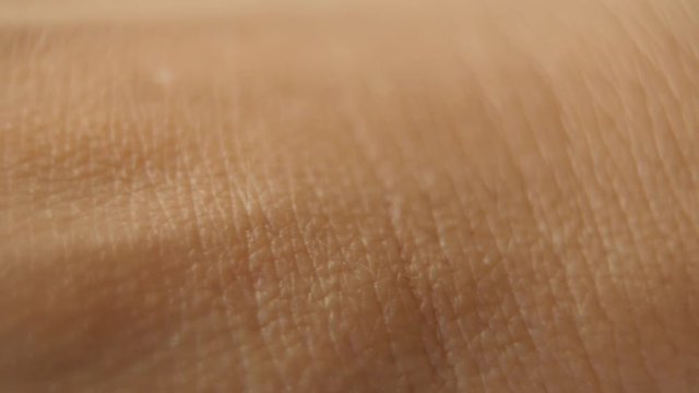 Extreme closeup of hand, skin detail