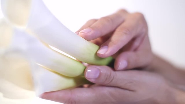 Female hand what holding white tiny flower. Closeup, white background.