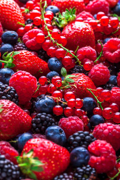 Berries closeup colorful assorted mix in studio on dark background