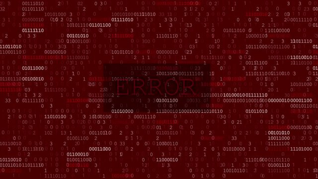 Computer Data Error
