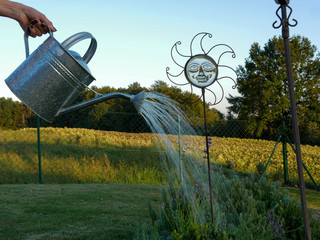 Metallgie&szlig;kanne im Garten