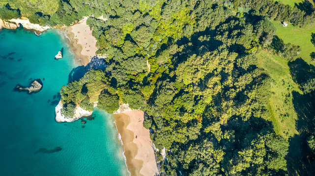 Aerial view on a small beach surrounded by rocks and forest. Coromandel, New Zealand © Dmitri