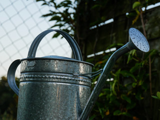 Metallgie&szlig;kanne im Garten