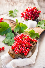 The leaves and berries of red currant on piece of old wood and in a bowl