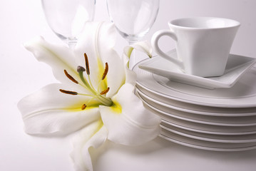 Dishes and lily