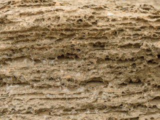 Front view of the natural background of yellow limestone with the bumpy surface with dark hollows that are smoothed by the sea waves 01