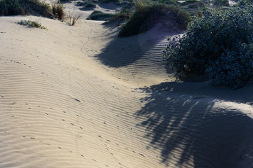 La mMata beach sands with trails. Brown and gray sand. Waved sand.