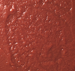Tomato sauce closeup