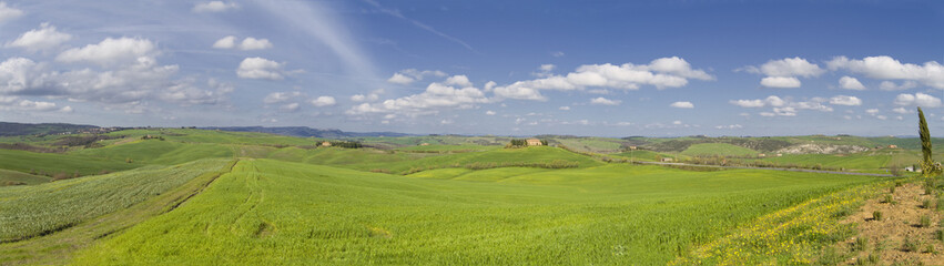 Fototapeta na wymiar Panorama toscano