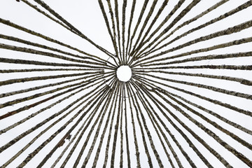 Skeleton of a big wigwam made from birch stakes © Alex Serebrennikov