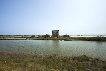 valli di comacchio