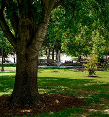 Obraz premium Inthepark