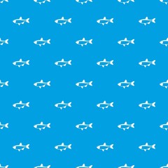 Fototapeta premium Rudd fish pattern seamless blue