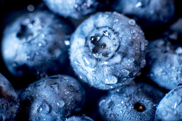 Contrast macro photo food, summer fresh juicy ripe berries, blueberries on gray background