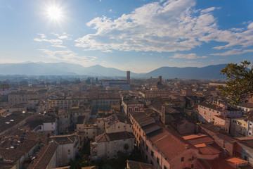 Lucca view from Guinigi Tower.