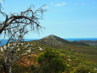 Obraz premium Kroatien: Landschaft auf der Insel Pasman, Dalmatien