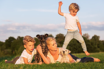 woman plays with her sons and dogs in the grass