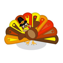 colorful turkey to Thanksgiving Day, white background.