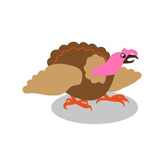 colorful turkey white background