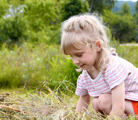 Girl and hay. A little girl is shoveling hay. Help with the housework. Summer in the countryside. Vacation for children. A stack of hay