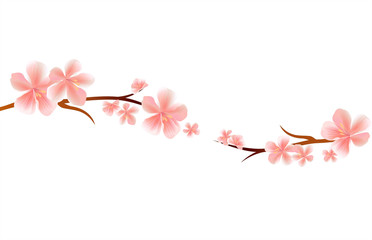Branches of Sakura with Pink flowers isolated on White background. Sakura flowers. Cherry blossom. Vector