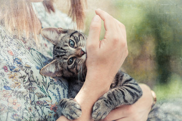 woman holds a kitten in the arms