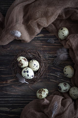 Quail eggs and feathers in nest on the wooden background. Top view