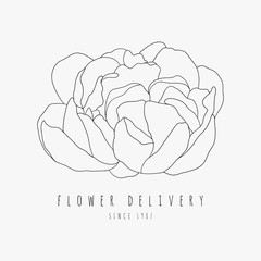 Hand drawn peony logo. Flower delivery service concept. Vector outlined peony flower 