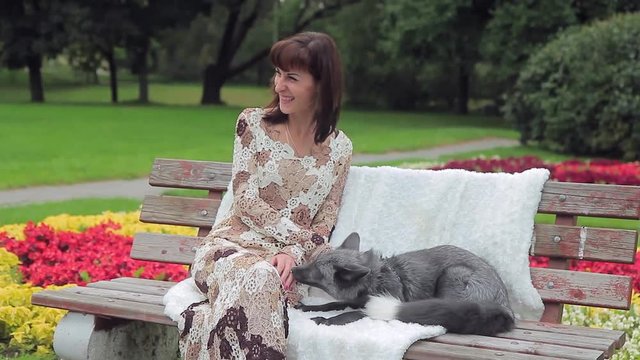 Brunette sits on the old wooden bench in park in summer in her leisure. Silver fox lays near beautiful woman. Young lady is dressed in long gown. She is happy and smile when animal smells and licks