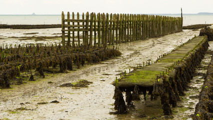 The beach and the oyster parks of Cancale, in Brittany